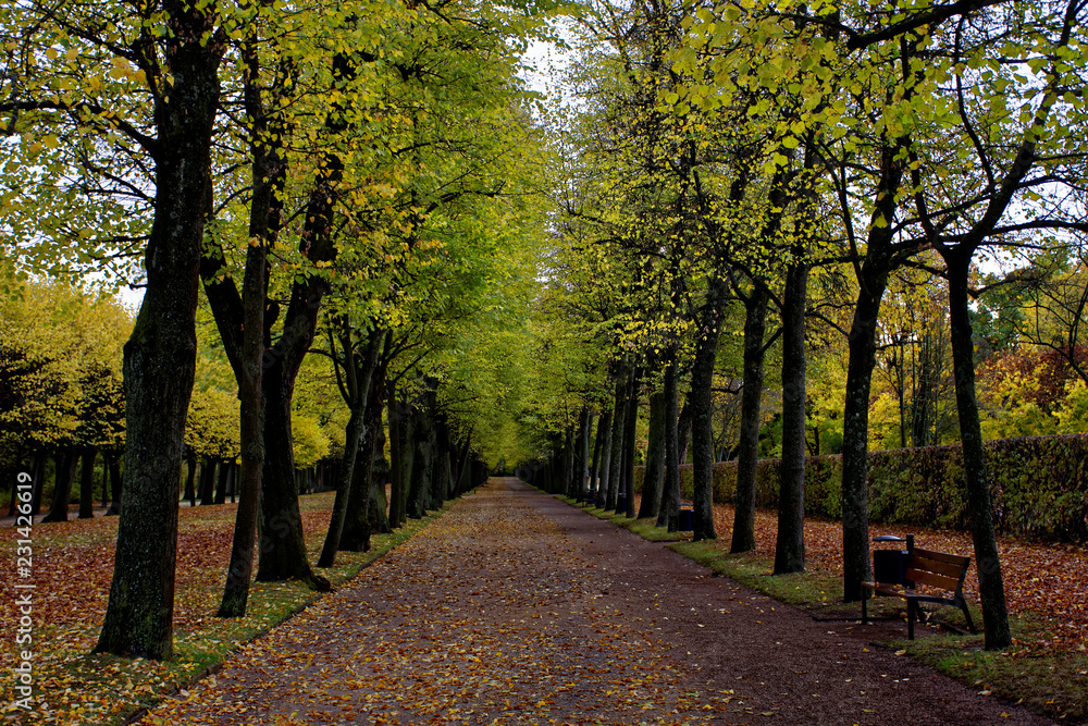Naklejka premium autumn day in a deserted Park