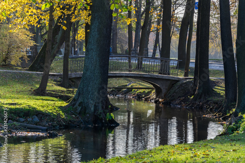 Fototapeta Naklejka Na Ścianę i Meble -  Reflection of trees in a creek in a city park on a sunny autumn day. The bridge over the creek in the city park.