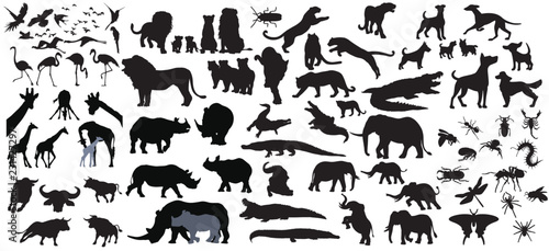 illustration with animals collection isolated on white background © 9george