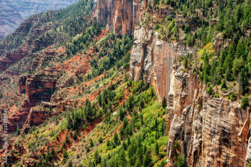 Coconino Overlook view of the massive canyon walls - North Rim Grand Canyon