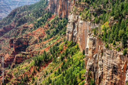 Coconino Overlook view of the massive canyon walls - North Rim Grand Canyon