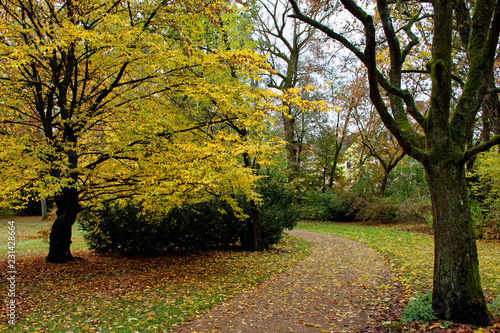 autumn day in a deserted Park