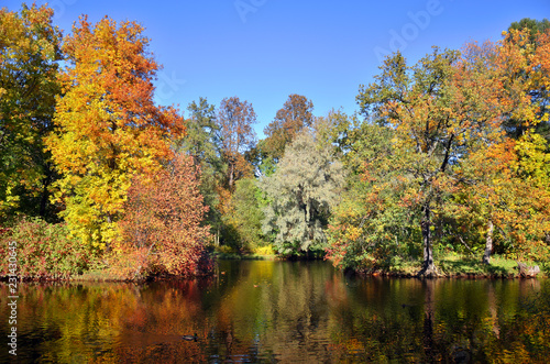 trees with colorful foliage in autumn Park