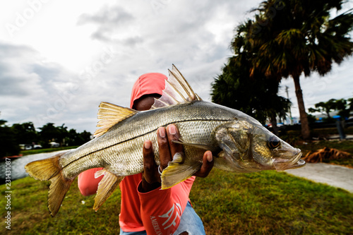 Showing Off A Freshwater Snook photo