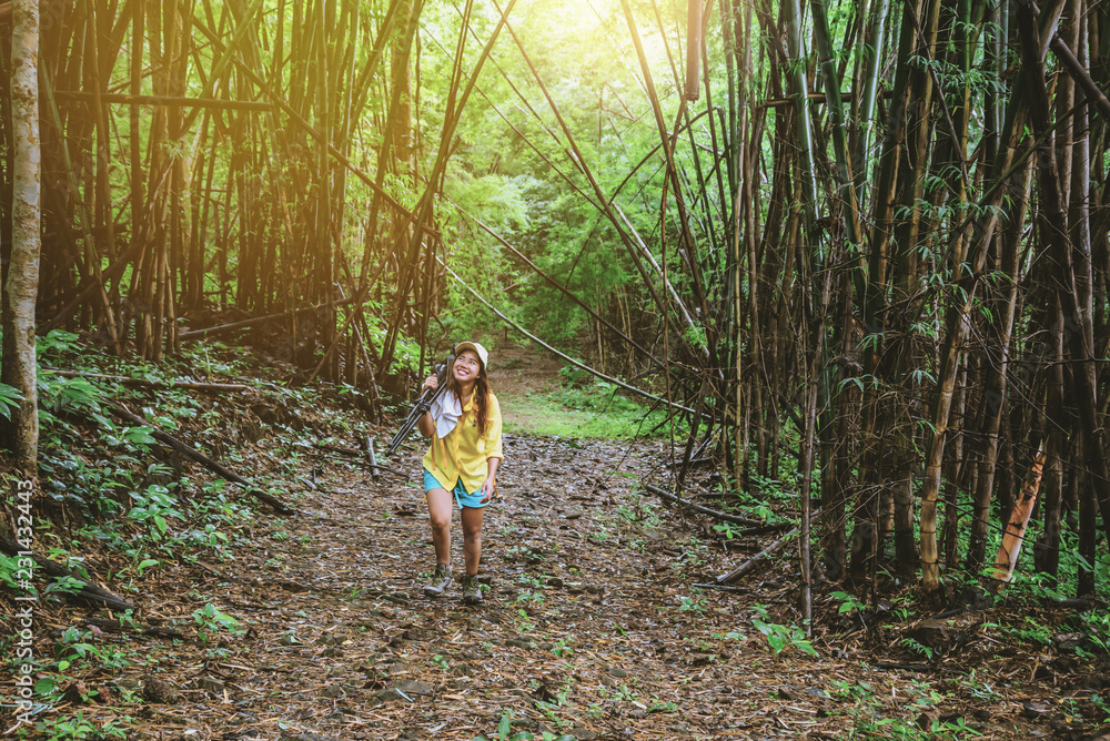 Photographer woman fun happy with walking travel nature. Travel relax and nature Study. In the bamboo forest in the summer. Photographer woman fun happy with walking travel nature. Travel relax and nature Study. In the bamboo forest in the summer.