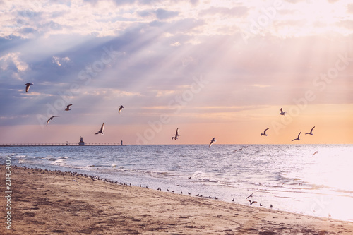 Fototapeta Naklejka Na Ścianę i Meble -  Beach background, rays of sunlight at sunset, Lake Michigan