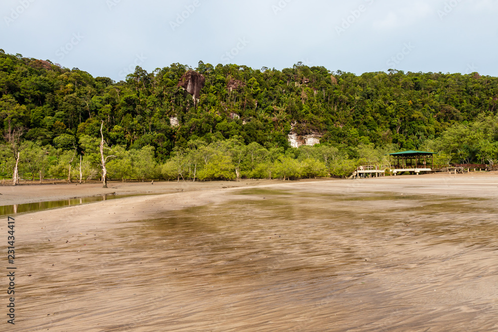 Large Mangrove Forest area at low tide in a remote part of Borneos Sarawak state Large Mangrove Forest area at low tide in a remote part of Borneos Sarawak state