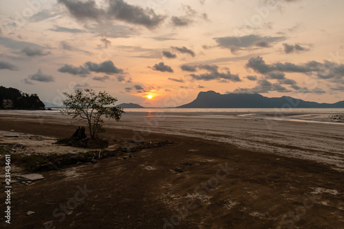 Tropical sunset over the ocean at low tide in a mangrove forest in Borneo