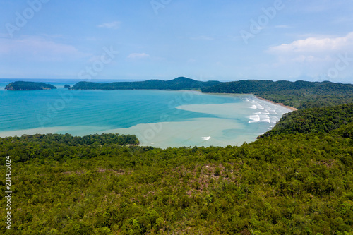 Aerial drone view of dense tropical rainforest leading to a remote, rough ocean coastline