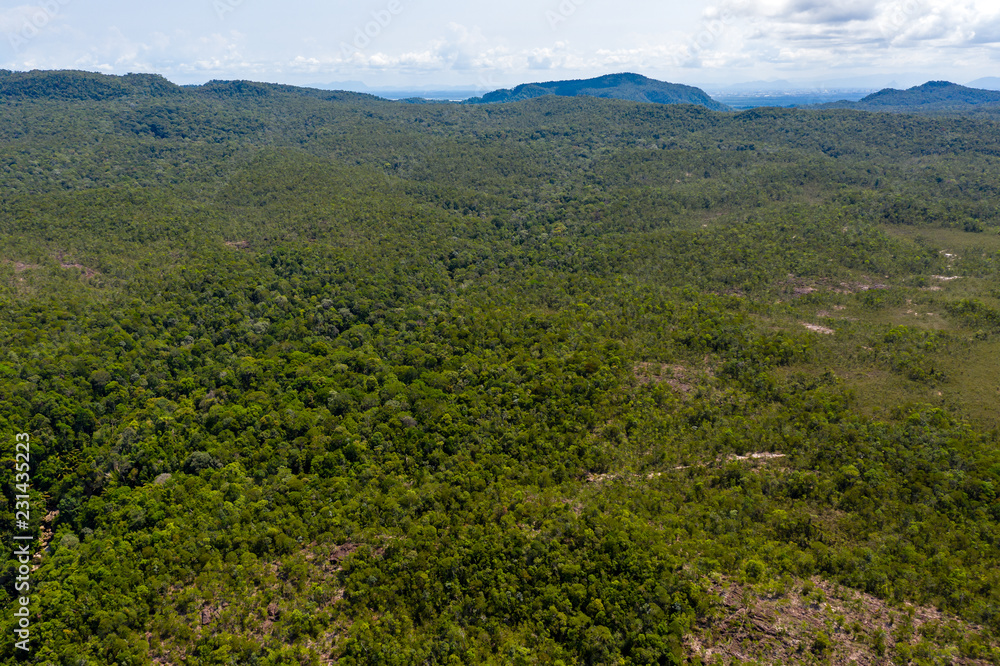 Obraz premium Aerial drone view of dense tropical rainforest canopy in the Bako area of Sarawak, Malaysian Borneo
