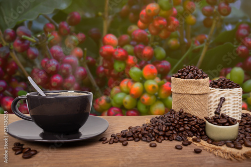 Hot cup of coffee and beans with burlap sack on the wooden table, with copy space