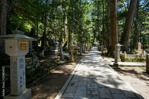 Okunoin cemetery in Kōya-san, Japan photo