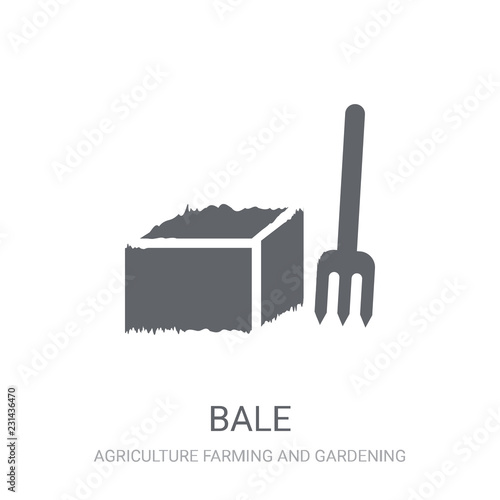 Φωτογραφία Bale icon