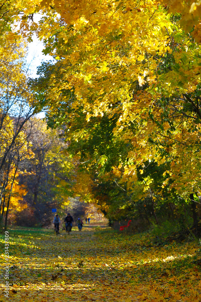 Bikeway in Fall