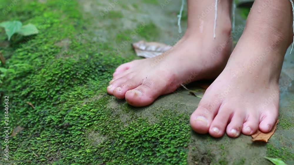 Traveler Asian relaxing on Stream river waterfall near Green tree fern in rain forest area in water fall at natural park. Traveler Asian relaxing on Stream river waterfall near Green tree fern in rain forest area in water fall at natural park.