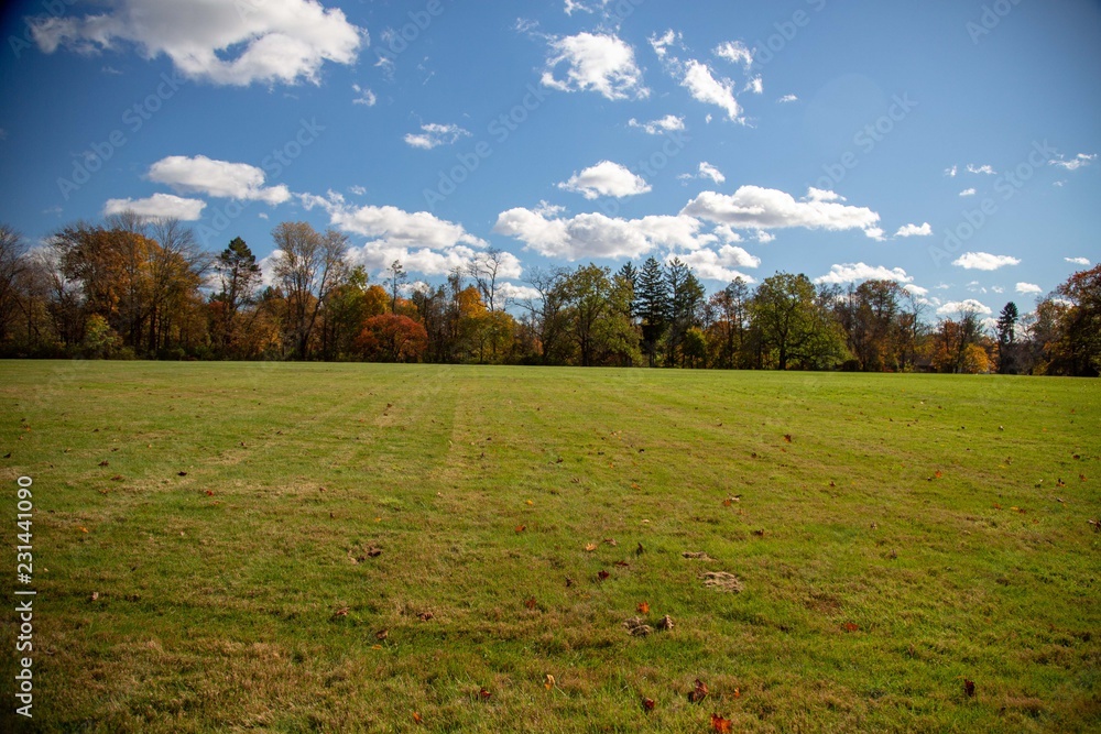 Open field of Colors