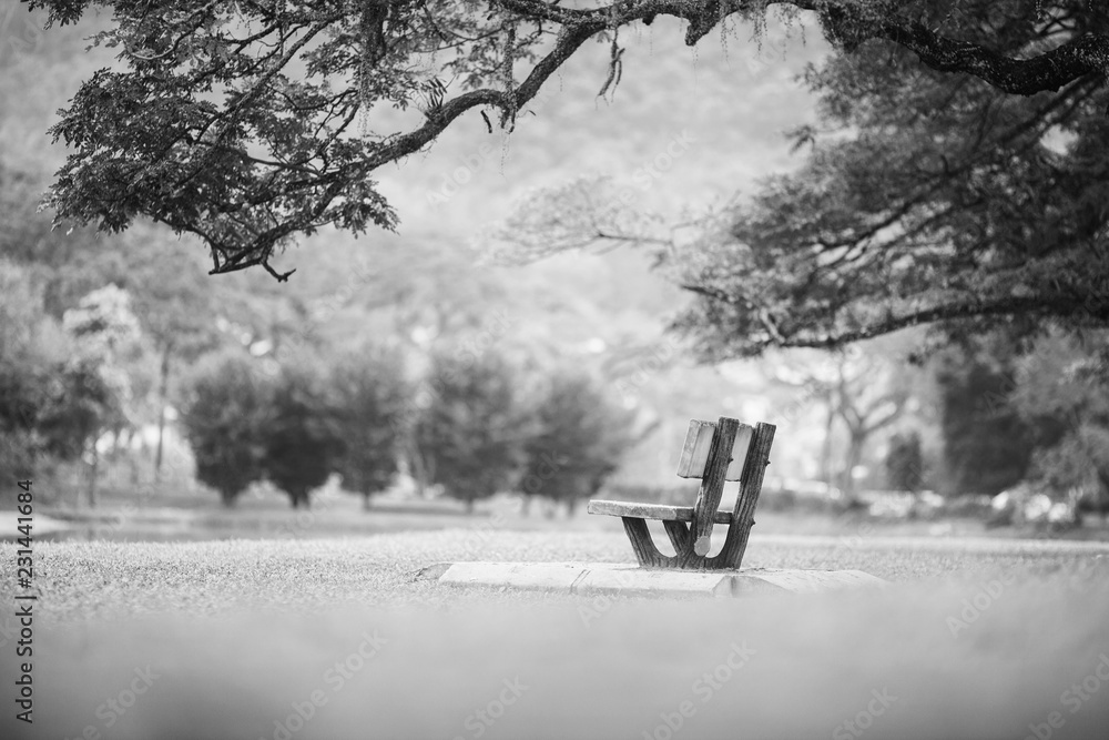 Lonely chair near lake and nature background. Shallow DOF.