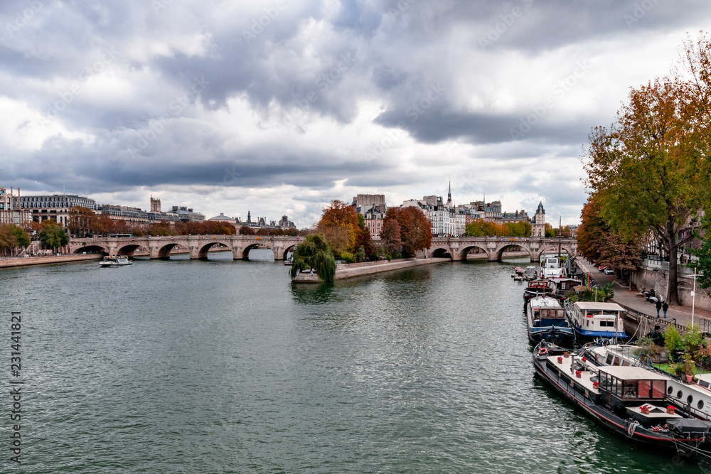 Top view of the Seine river surrounding the Cité island in Paris, France