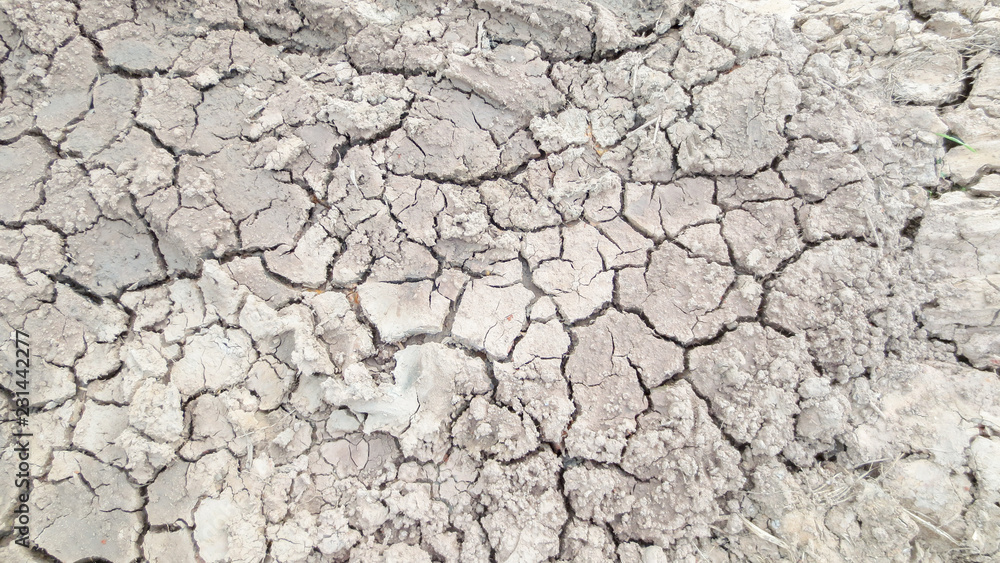 grey crack of dried soil background texture grey crack of dried soil background texture