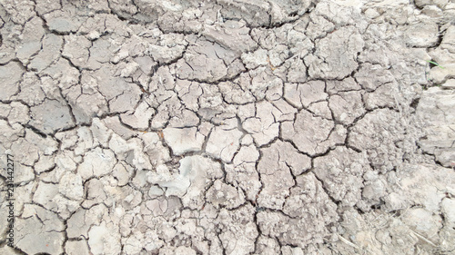 grey crack of dried soil background texture