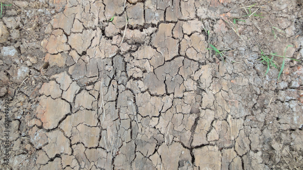 grey crack of dried soil background texture grey crack of dried soil background texture