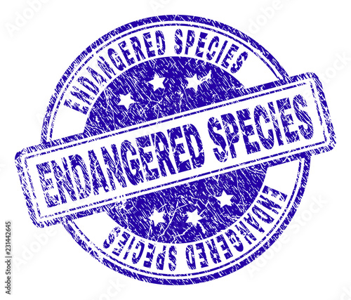 ENDANGERED SPECIES stamp seal watermark with distress texture. Designed with rounded rectangles and circles. Blue vector rubber print of ENDANGERED SPECIES title with retro texture.