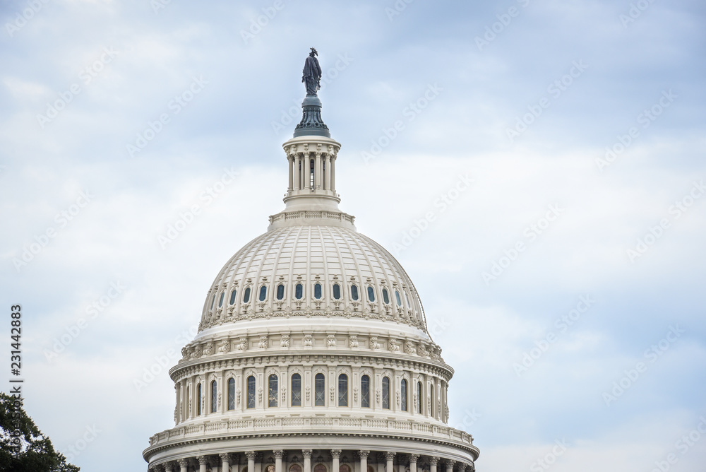 Obraz premium Capitol Building in Washington DC