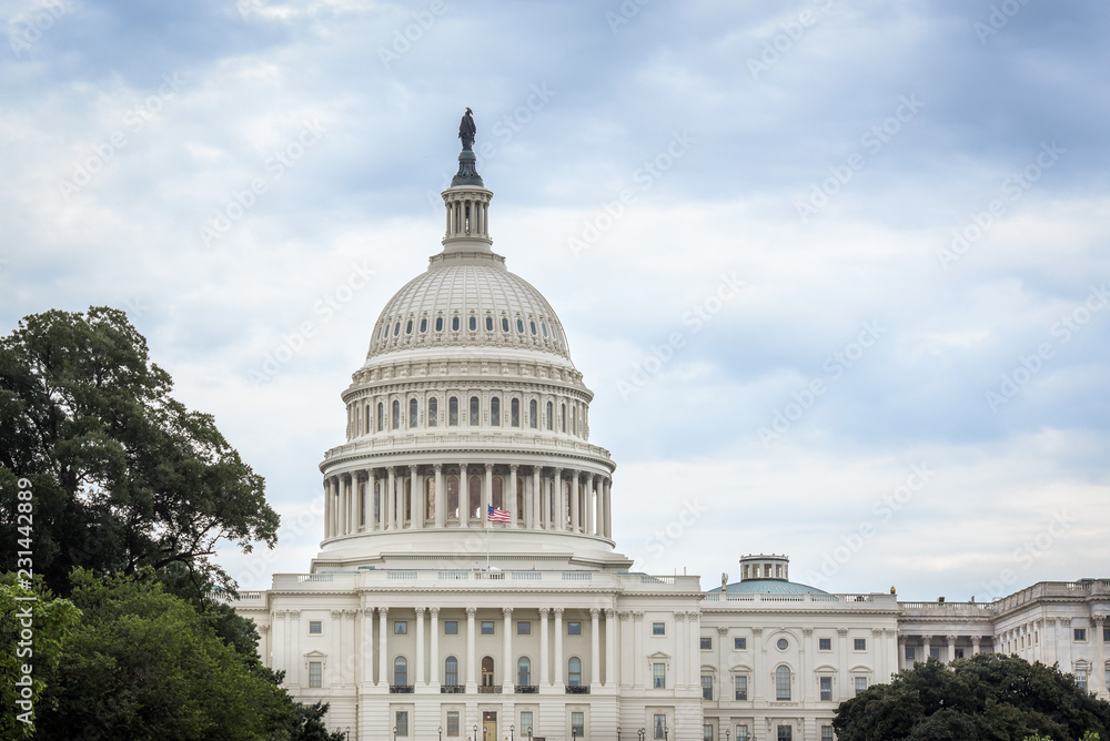 Naklejka premium Capitol Building in Washington DC