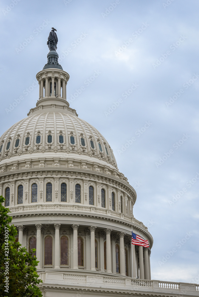 Obraz premium Capitol Building in Washington DC