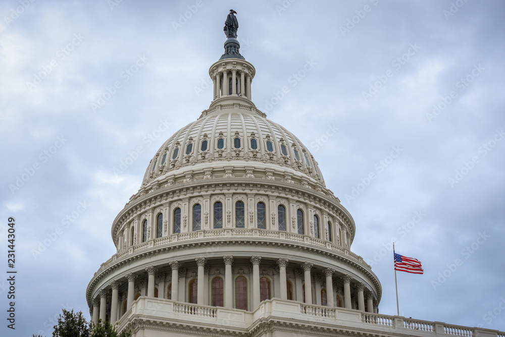 Capitol Building in Washington DC