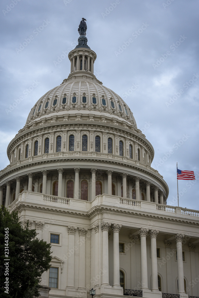 Obraz premium Kapitol w Waszyngtonie