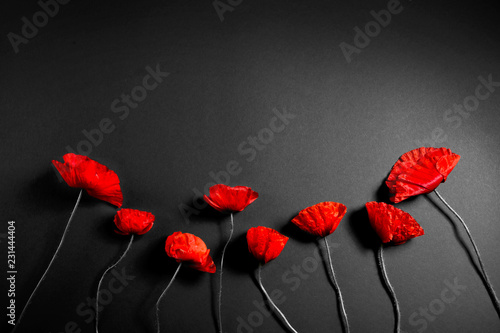 Red poppies on a dark background