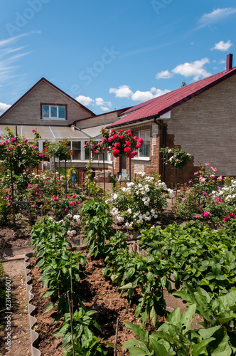 Beautiful country house with blooming garden on a summer day