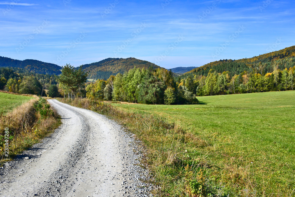 Dirt road through the green fields and forest in autumn on a blue sky with white clouds