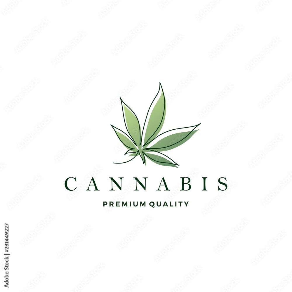 cannabis leaf logo vector icon