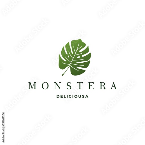 monstera deliciosa deliciousa leaf logo vector icon illustration