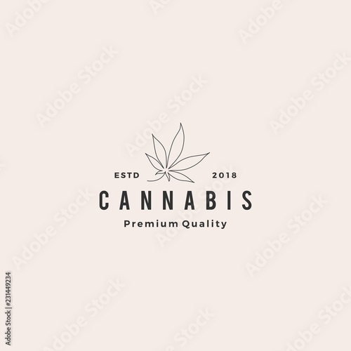 cannabis leaf logo vector icon