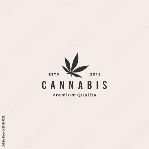 cannabis leaf logo vector icon