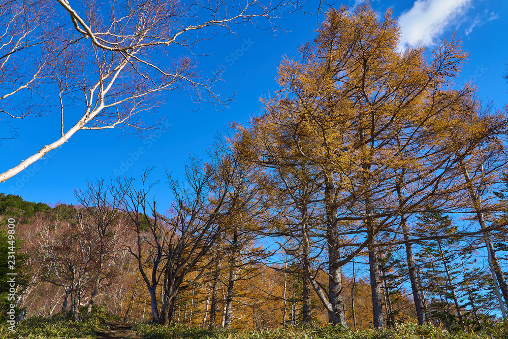 Fototapeta premium 半月山15