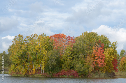 Autumn landscape in the Park.