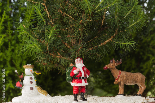 Fotografie Christmas Bonsai