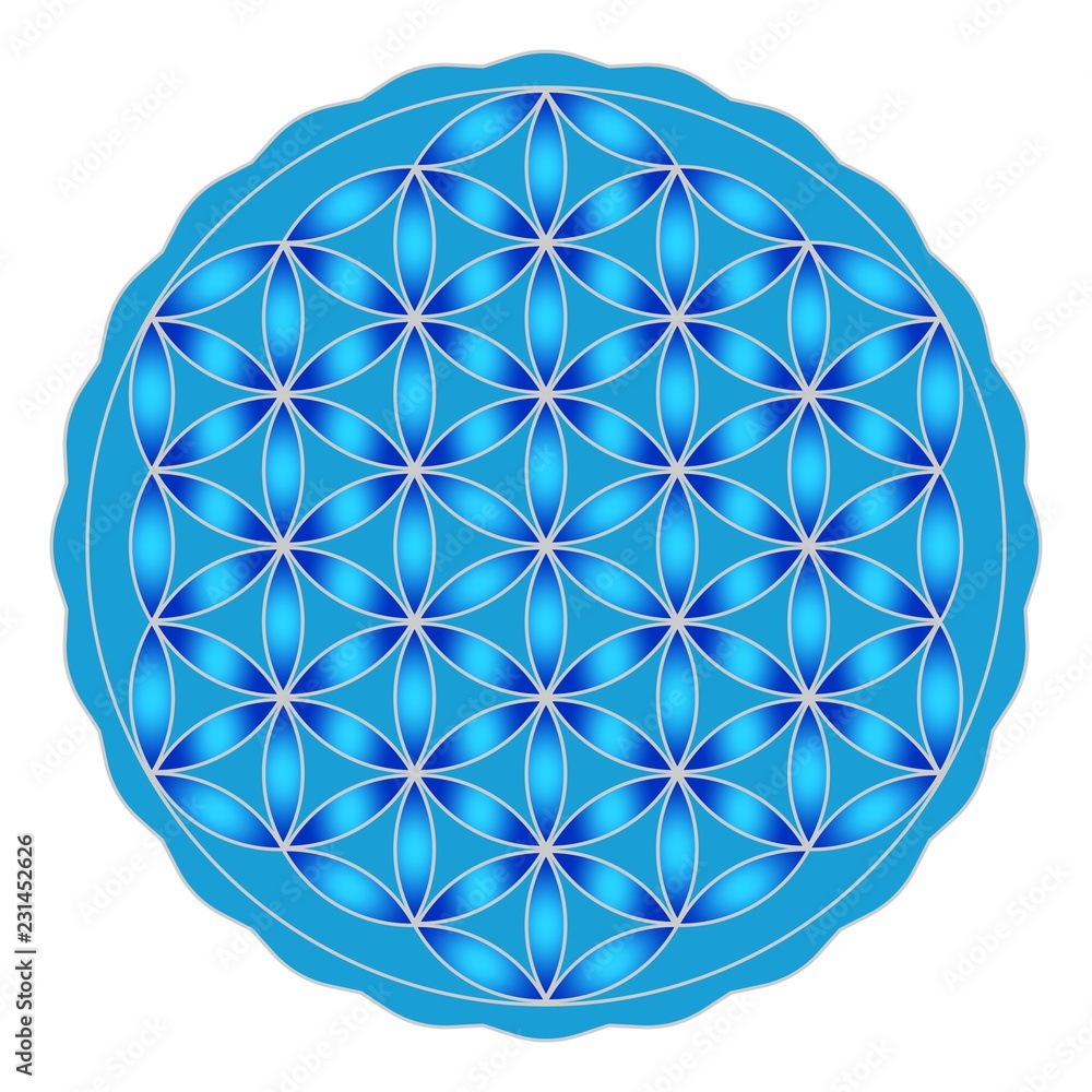 Blume des Lebens auf einem isolierten weißen Hintergrund. Blume des Lebens auf einem isolierten weißen Hintergrund.