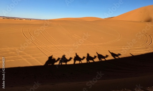 The shadows of the caravan on the hot sand of the sahara desert