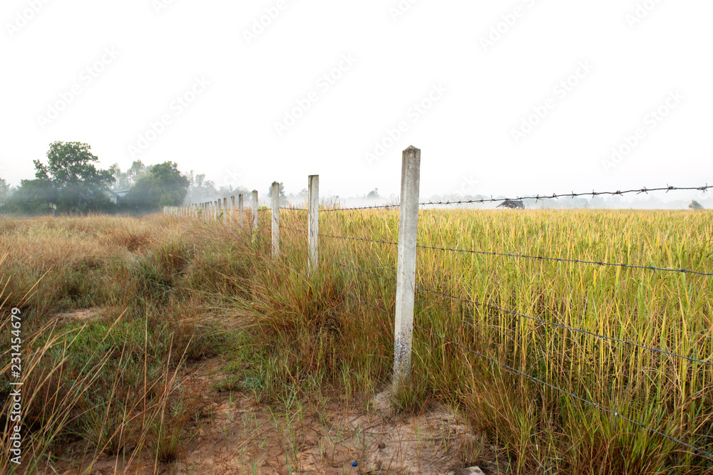 Barbed wire barrier Barbed wire barrier