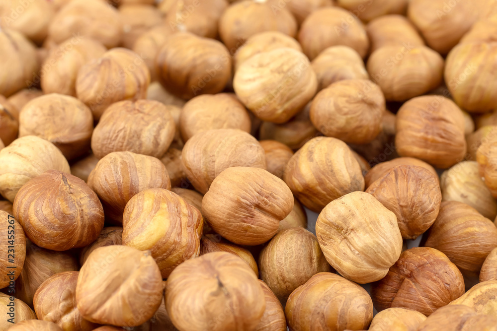 Hazelnut, filbert. Hazelnut, filbert.
