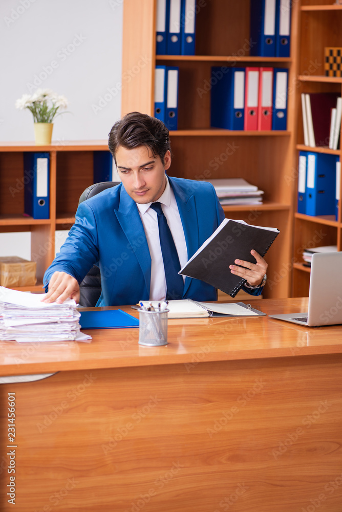 Young employee working in the office Young employee working in the office