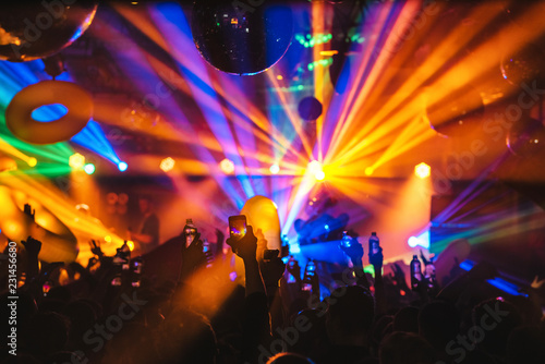 crowd of people dancing at concert