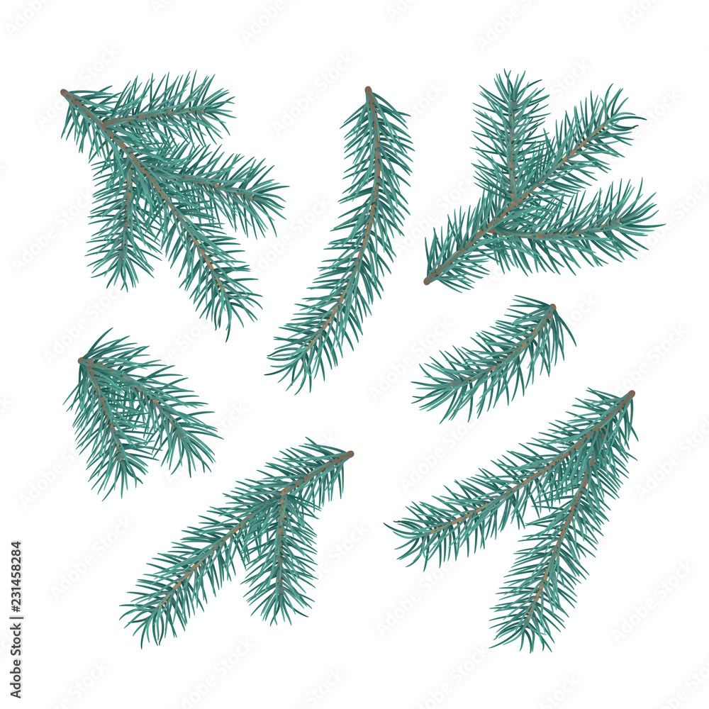 Green fir branches. Set of a Christmas tree branches. Conifer branch symbol of Christmas and New Year. Holiday decor element. Vector illustration isolated on white background Green fir branches. Set of a Christmas tree branches. Conifer branch symbol of Christmas and New Year. Holiday decor element. Vector illustration isolated on white background