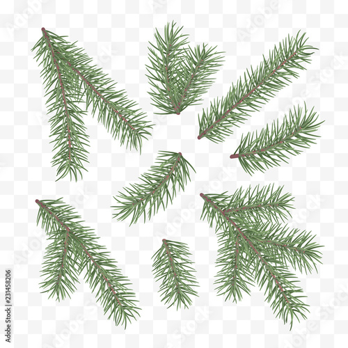 Green fir branches. Holiday decor element. Set of a Christmas tree branches. Conifer branch symbol of Christmas and New Year. Vector illustration isolated on white background