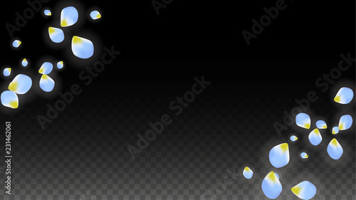 Vector Realistic Blue Petals Falling on Transparent Background.  Spring Romantic Flowers Illustration. Flying Petals. Sakura Spa Design. Blossom Confetti.